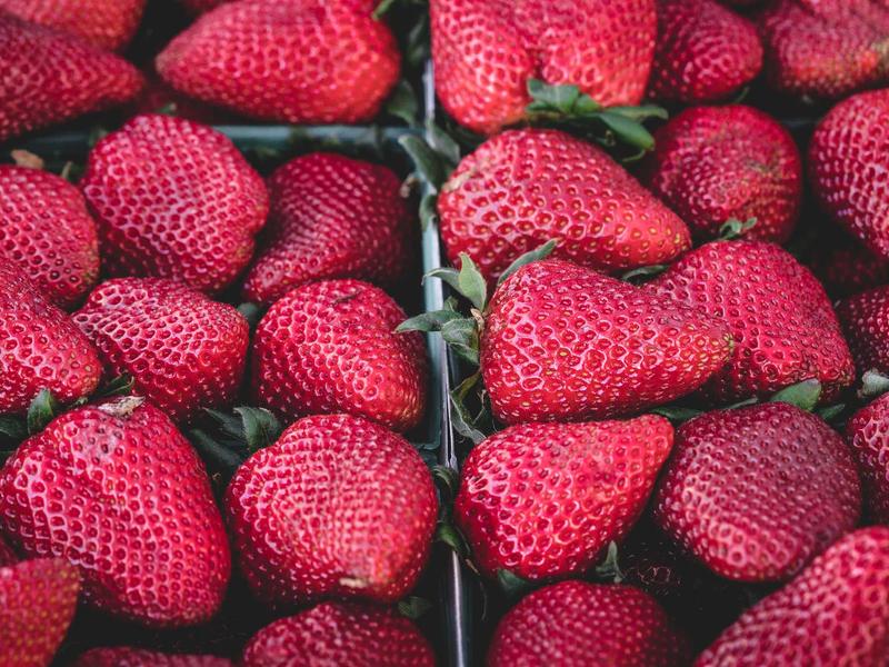 Virginia Wineries Sweep Atlantic Seaboard Awards