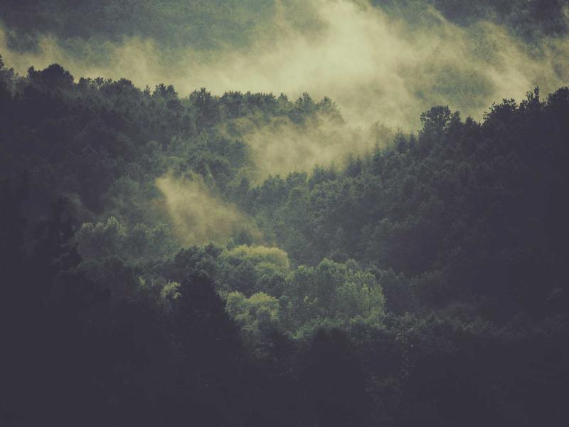 Wine Glass Sales Hit Record Highs