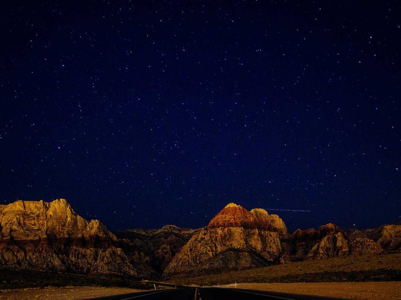 Vienna Wine Bar Celebrates 600th Anniversary