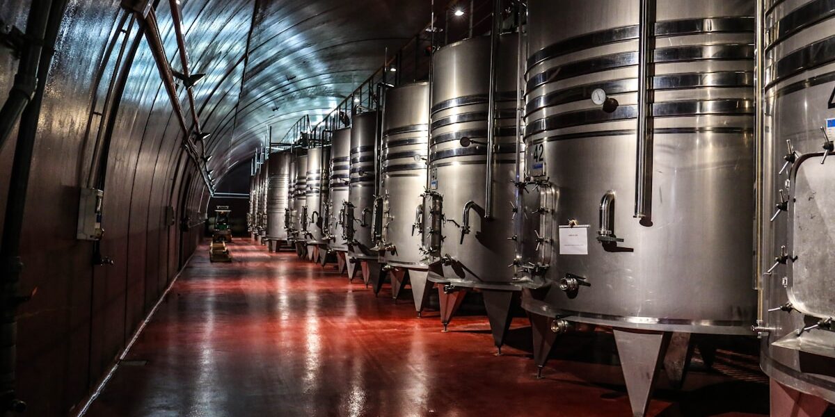 Essential Wine Storage Rules Every Collector Should Know